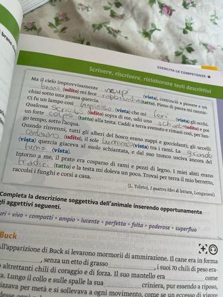 Nuovi compagni di viaggio. Per la Scuola media....