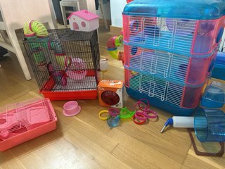 2 Jaulas Hamster + Accesorios
