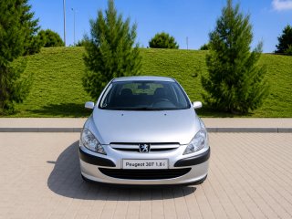Peugeot 307 2004