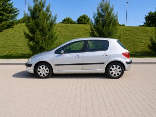 Peugeot 307 2004