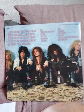GUNS N' ROSES apetite for destruction alternative