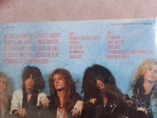 GUNS N' ROSES apetite for destruction alternative