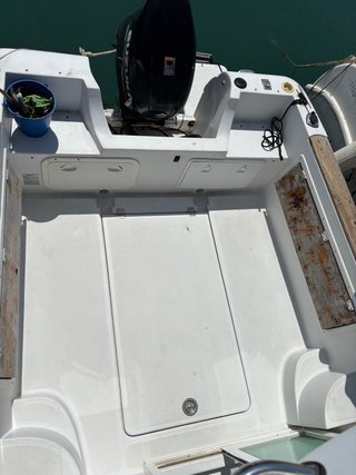 Barco Barracuda 6m