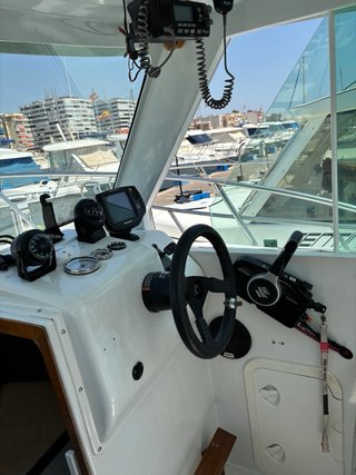 Barco Barracuda 6m