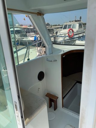 Barco Barracuda 6m