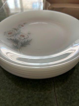 6 platos de porcelana vintage