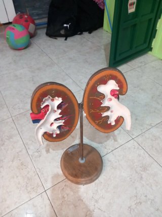 Maqueta Riñón Colección