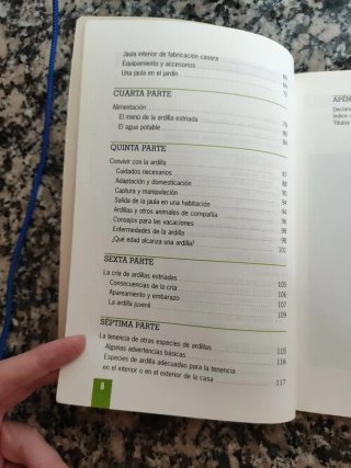 El nuevo libro de las ardillas