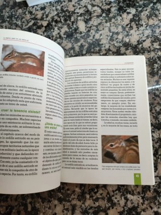 El nuevo libro de las ardillas