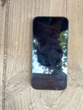 iPhone 13 Pro Max Verde