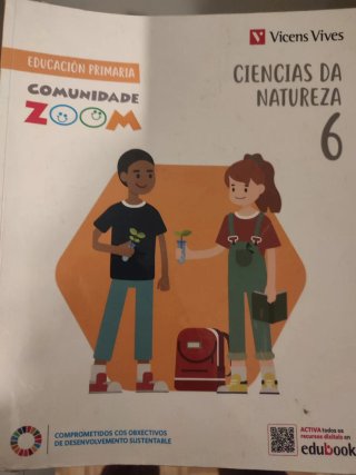 Libros de texto 6 primaria Vicens vives