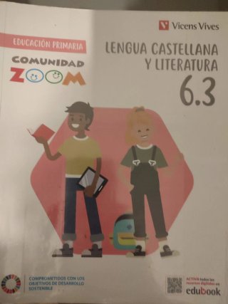 Libros de texto 6 primaria Vicens vives