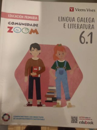 Libros de texto 6 primaria Vicens vives