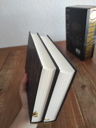 Ilíada y Odisea. Estuche. Ed. de Domingo Plácido