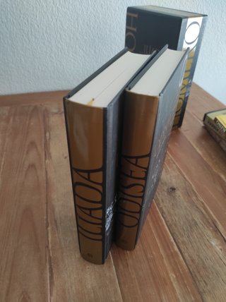 Ilíada y Odisea. Estuche. Ed. de Domingo Plácido