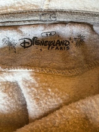 Sudadera Disneyland Paris  Oficial Mickey