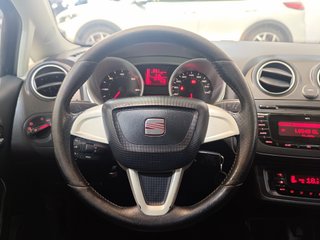 Seat Ibiza 1.9 TDI 100cv Rock&Roll Sport