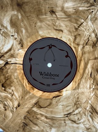Conan Gray Wishbone Blood Records Vinilo