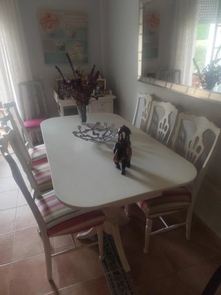 Mesa de comedor y 5 sillas