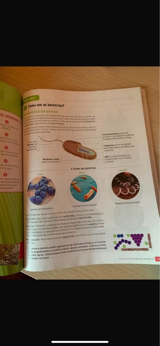 Libro de texto bioloxia e xeoloxia 1 ESO