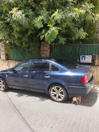 Volkswagen Passat 2000