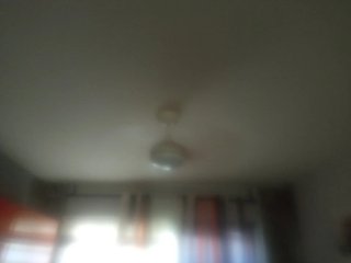 Montador ventiladores techo y termos eléctricos