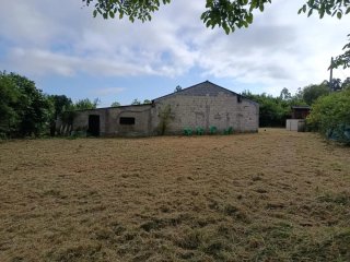 Finca con gran potencial