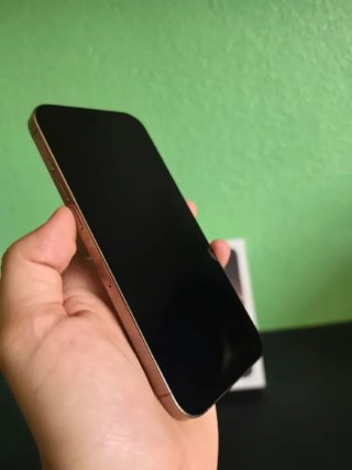 iPhone 16 Pro Max 256GB. Impecable+Factura