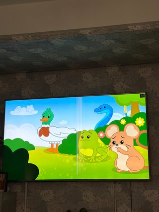 Televisor