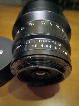 7Artisans Ojo de Pez Ef Mont