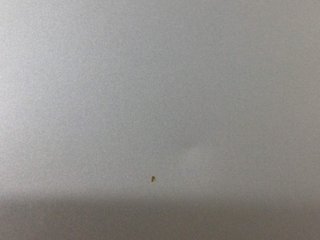 E742816-0 PC PORTATIL MICROSOFT SURFACE LAPTOP 4