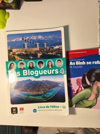 Les Blogueurs 4 A2.2 Livre de l'élève