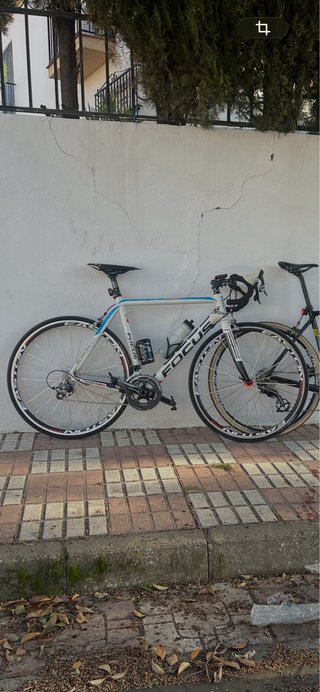Bicicleta de carretera carbono focus talla m