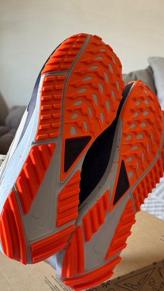 Nike Pegasus Trail 4 GTX V2 GORETEX