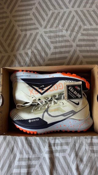 Nike Pegasus Trail 4 GTX V2 GORETEX