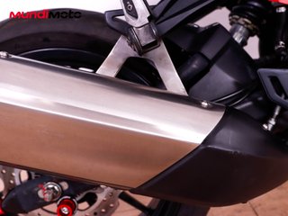 BENELLI LEONCINO 250