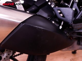 BENELLI LEONCINO 250