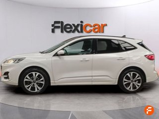 Ford Kuga ST-Line 2.5 Duratec FHEV 140kW 4x4 Auto