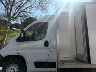 FIAT Ducato Camión Frigorífico Thermo King 2020