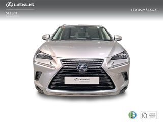 Lexus NX 2.5 300h Executive Navigation 4WD