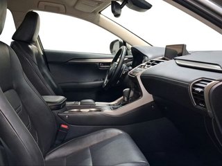 Lexus NX 2.5 300h Executive Navigation 4WD