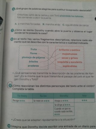 Lengua castellana y literatura 4 de Primaria SM