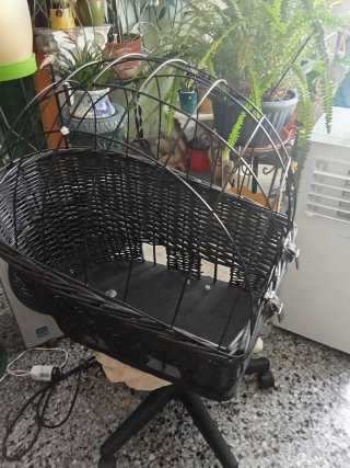 Cesta bicicleta mimbre con soporte