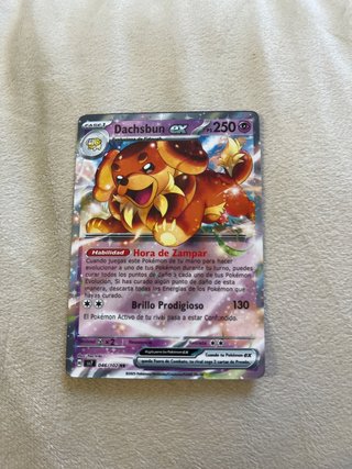 Dachsbun EX Carta Pokémon 046/102 RR