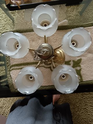 6 tulipas de lámpara de cristal