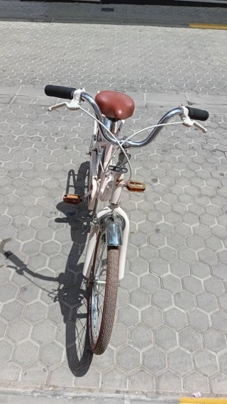 Bicicleta rosa estilo clásico 613990546 whatsapp