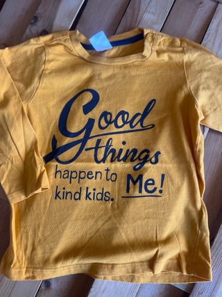 Lote 10 camisetas niño manga larga 12-18 meses