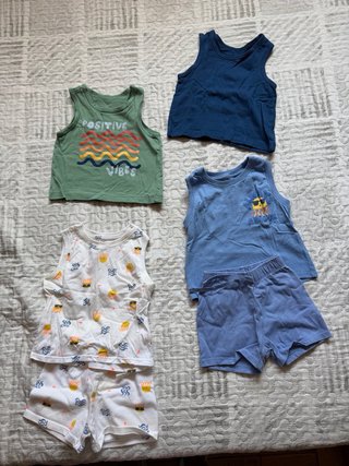 Lote Ropa Bebé 9-18 Meses