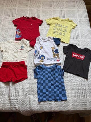 Lote Ropa Bebé 9-18 Meses