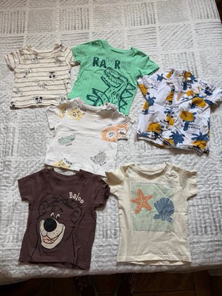 Lote Ropa Bebé 9-18 Meses
